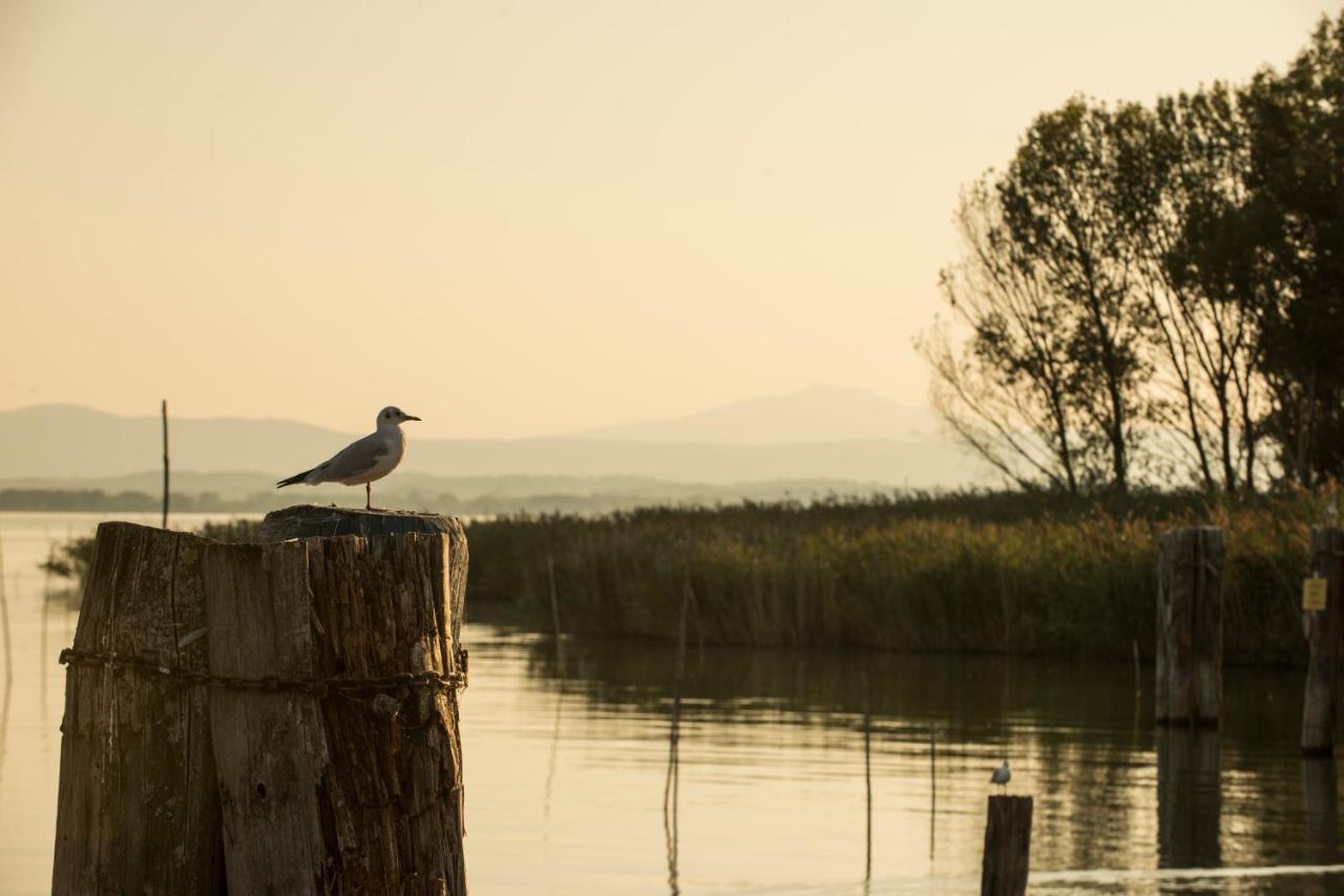 Isola Polvese Resort Castiglione del Lago Luaran gambar